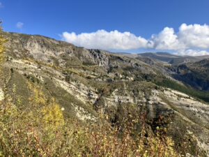 75CB9960-DAF2-4C1B-89F0-FB4214E00271_1_105_c