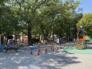 CF4355EE-4A18-4281-A933-AB0EFE185E4F_1_105_c